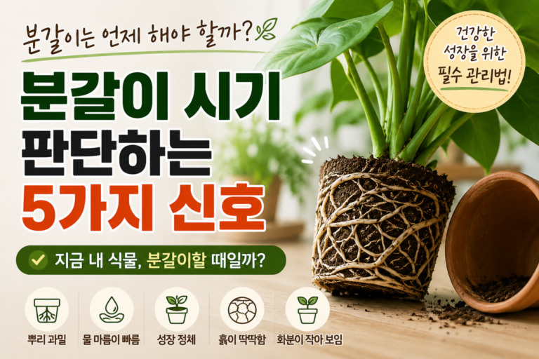 분갈이는 언제 해야 할까? 시기를 판단하는 5가지 신호 6 분갈이 시기를 판단하는 5가지 신호 썸네일