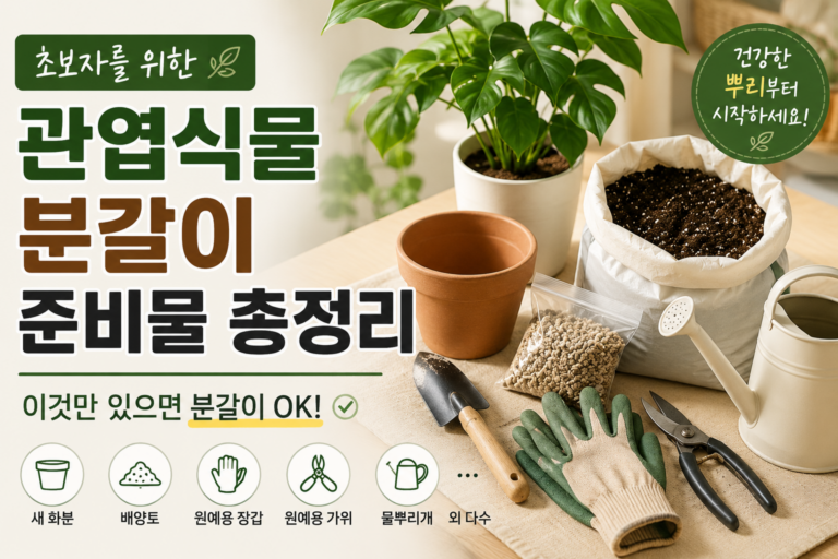 초보자를 위한 관엽식물 분갈이 준비물 총정리, 이것만 있으면 충분합니다 5 초보자를 위한 분갈이 준비물 정리 썸네일