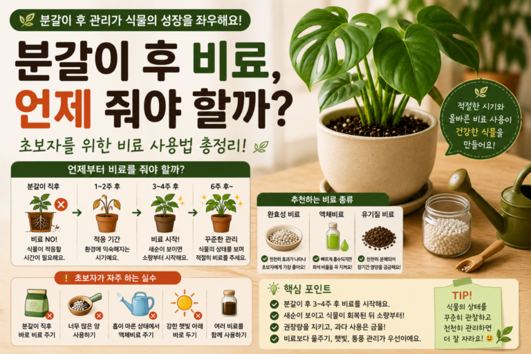 분갈이 후 비료 사용법 안내 썸네일