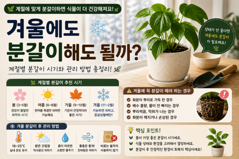 겨울에도 분갈이 할 수 있어요 썸네일