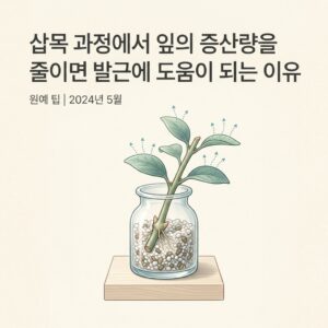 ai thumbnail minimal 삽목 과정에서 잎의 증산량을 줄이면 발근에 도움이 되는 이유 1788685753