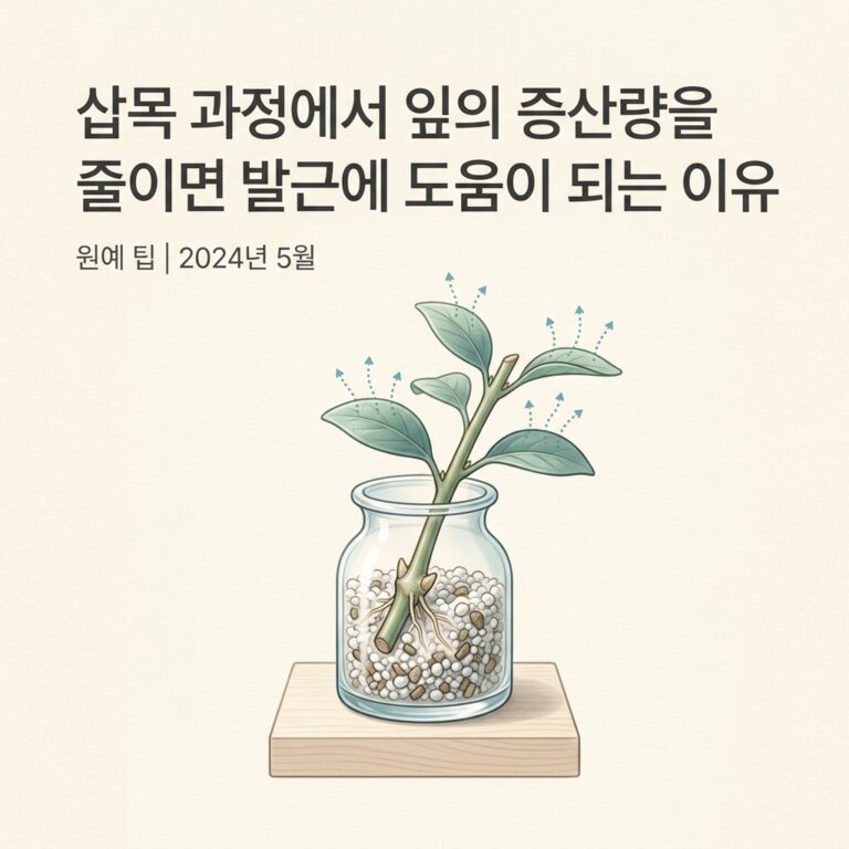 ai thumbnail minimal 삽목 과정에서 잎의 증산량을 줄이면 발근에 도움이 되는 이유 1788685753